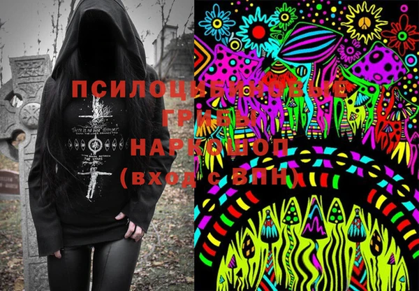 герыч Алексин